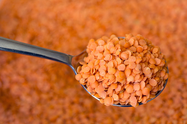 Red lentils - Photo, Image