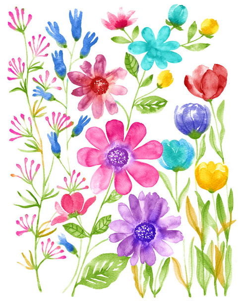 akvarell illusztráció virág készlet egyszerű fehér háttér - Fotó, kép