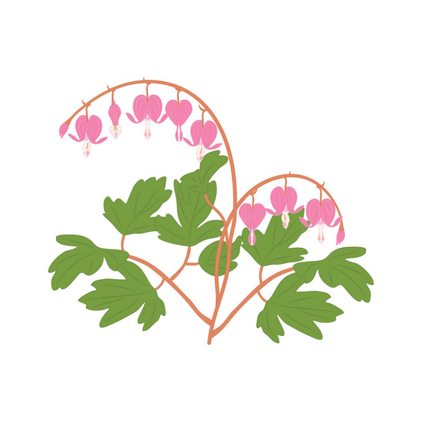 アジアの花は、心臓の出血、心臓の形をしたピンクと白の花、黄色の花、心臓の花とお風呂の女性と白の背景に隔離されます。アイコン、シンボル、ロゴ、カードデザインに最適. - ベクター画像