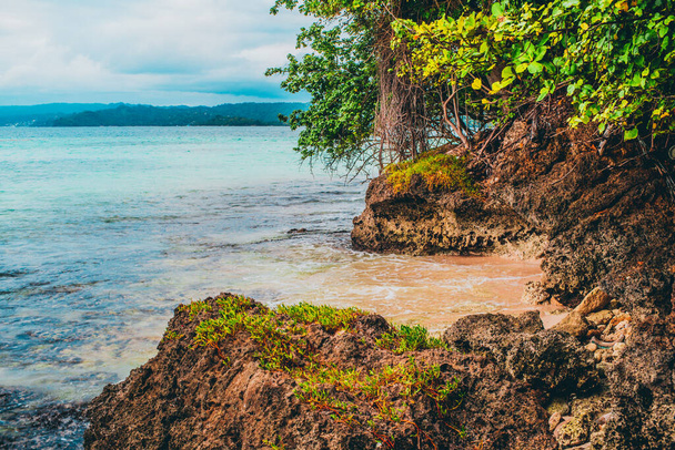une plage dans l'île de bacardi avec des rochers et des palmiers
 - Photo, image