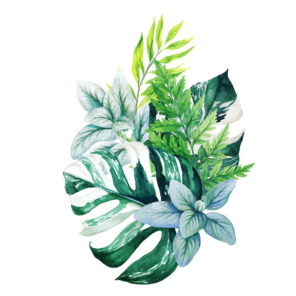 Greenery decorative bouquet, composed of fresh green leaves - Vector, imagen