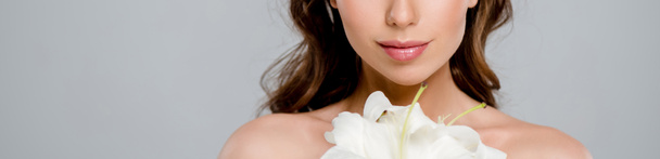 灰色に孤立した白い花の近くの若い女性のパノラマショット  - 写真・画像