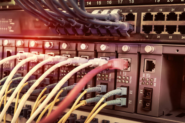Stojak na serwery z niebiesko-czerwonymi kablami internetowymi połączonymi z panelem czarny patch w serwerowni danych - Zdjęcie, obraz