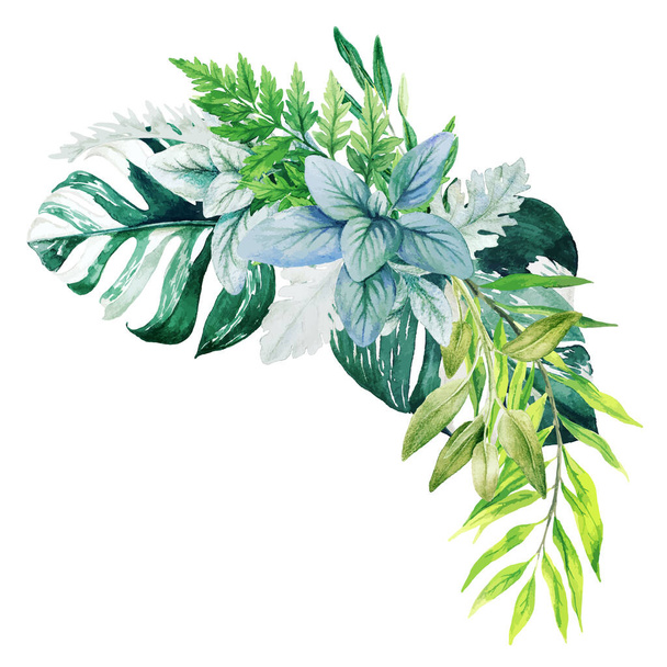 Ramo decorativo de vegetación, compuesto de hojas verdes frescas
 - Vector, Imagen