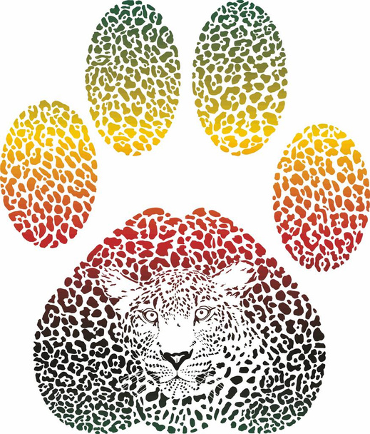 Illustrazione vettoriale di un mimetismo leopardato a forma di traccia di leopardo
 - Vettoriali, immagini