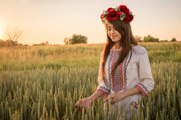 Altın saatte yapılmış sarı tonlarla aydınlatılmış bir portre. Güzel bir genç kadın geleneksel Ukrayna kıyafetleri giyer ve çiçek çelenkleri buğday tarlasında yürür, el yapımı çiçeklerle süslenmiş güzel bir etnik kız doğaya hayrandır..  - Fotoğraf, Görsel