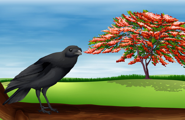 Bird - Vector, afbeelding