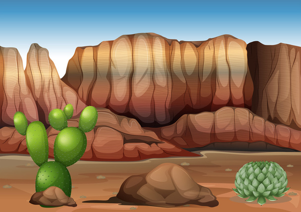 Un deserto con cactus
 - Vettoriali, immagini