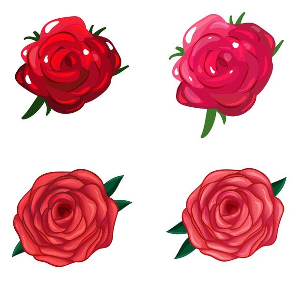 A rose flower - Vector, Image