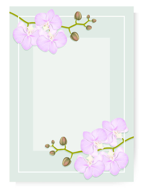 透明な背景を持つ緑の垂直テンプレート、花序を持つピンクの蘭のテキストと現実的な枝のための場所 - ベクター画像