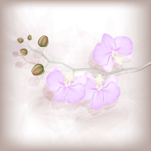 Vintage imitatie van antiek papier met realistische roze orchidee tak en schaduw - Vector, afbeelding