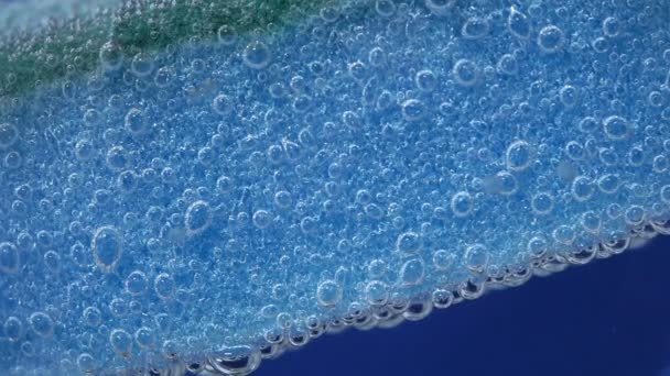 青の食器洗いスポンジ選択的フォーカス。泡を水中に。多孔質マクロスポンジ - 映像、動画