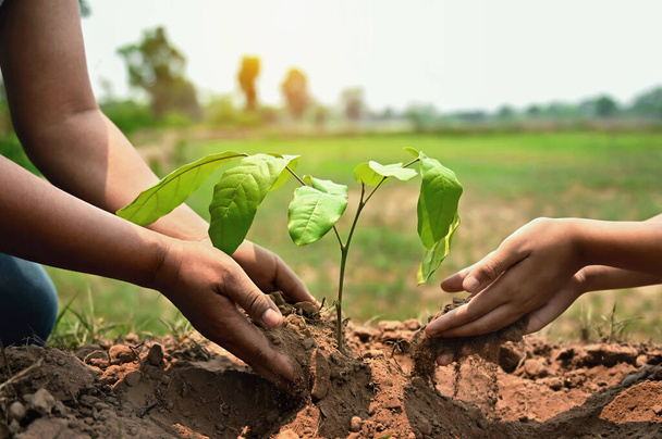 люди, помогающие посадить дерево в природе для спасения Земли. экологическая концепция
 - Фото, изображение