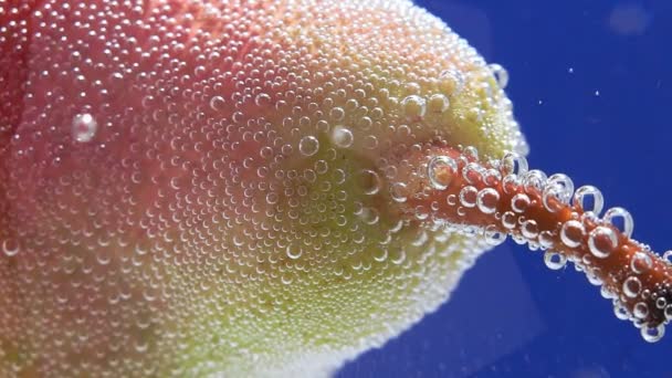 makro z gruszek owocowych w wodzie z bąbelkami. świeże owoce - Materiał filmowy, wideo
