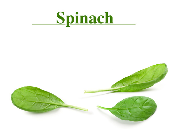 Spinach leaf - Фото, изображение