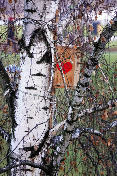 Linnunpönttö maalattu punainen sydän
 - Valokuva, kuva