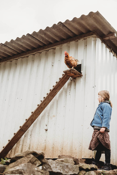 old style vintage retro farm girl with baby goat hen chicken - Zdjęcie, obraz