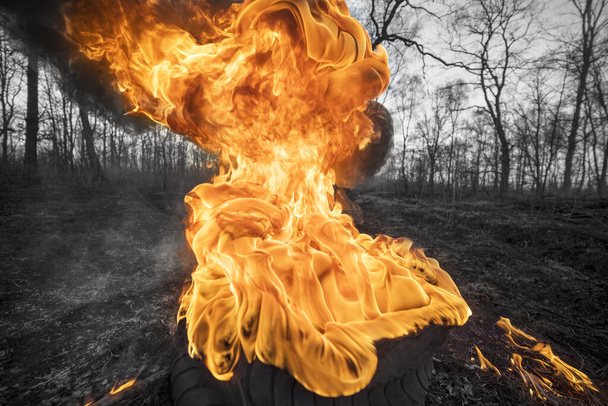 Arson of dry grass leads to mass fires, the death of plants and animals, birds, the destruction of forests, houses burn. Poisonous gases, carcinogen, are released into the air. Burning wheel, tire after a fire in the forest at sunset - Foto, immagini