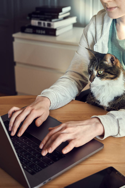 緑のTシャツとベージュのパーカーを着た若い女性は、ノートパソコンやスマートフォンで自宅の木製のテーブルで彼女の膝の上に猫と座って、オンラインで仕事や買い物をしています。垂直45度だけ腕と顔の半分を見て撮影 - 写真・画像