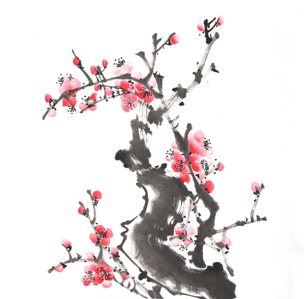 Chinees schilderij van bloemen, pruim bloesem op witte achtergrond. - Foto, afbeelding