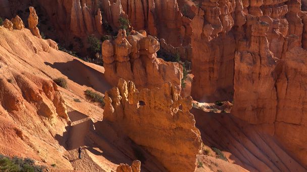 Национальный парк Брайс-Каньон в Navajo Loop Trail, Юта, США
 - Фото, изображение