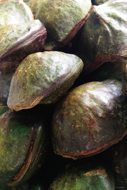 Frutta di fagiolo di Djenkol
 - Foto, immagini