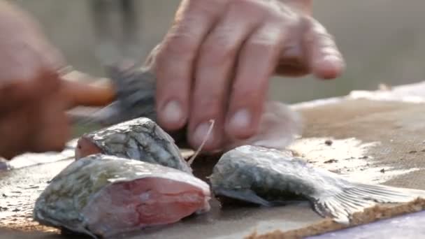 Mies vahvat kädet kalastaja puhdistaa juuri kiinni elävä kala leikkaa suuriksi paloiksi makean veden crucian kala pieni veitsi pöydällä kauniissa luonnonkauniissa auringonlaskussa
 - Materiaali, video