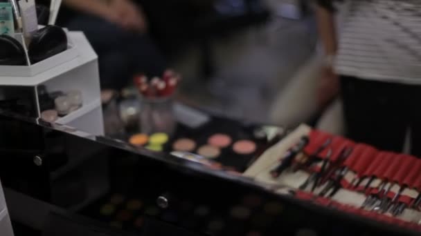 Στυλίστρια κάνει μακιγιάζ με επαγγελματικά καλλυντικά - Πλάνα, βίντεο
