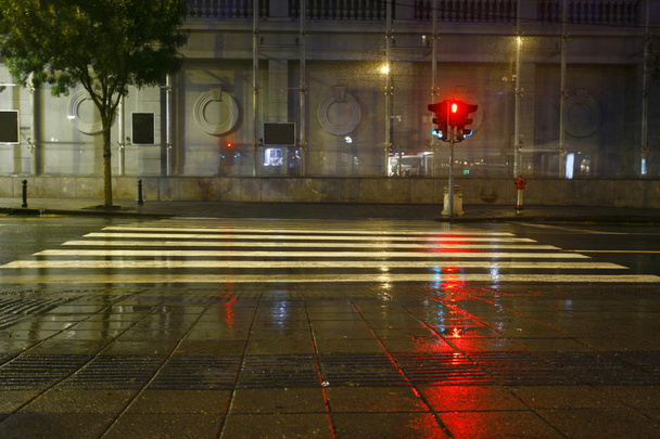 Long exposure traffic pedestrian crossing on rainy night - Photo, Image