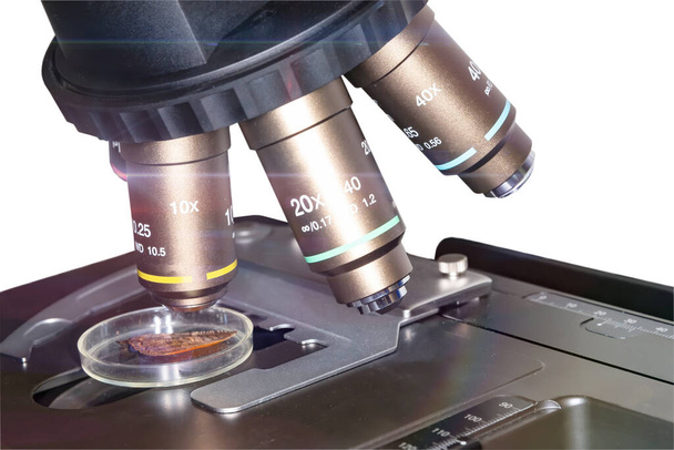 Optik mikroskop tıbbi ve klinik laboratuvarlarda planlama, araştırma deneyleri ve eğitim gösterileri için kullanılır. - Fotoğraf, Görsel