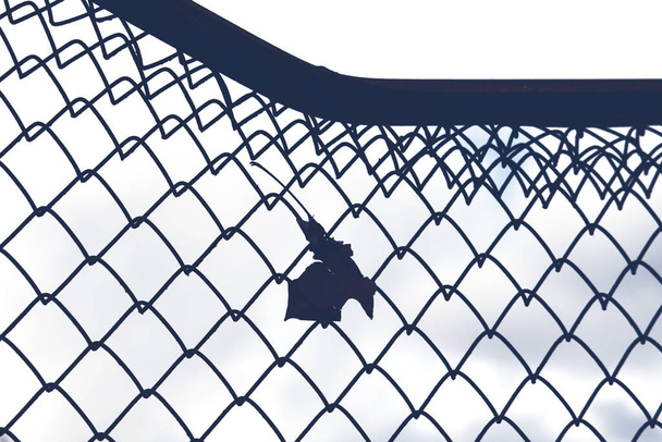 Старый черный кленовый лист застрял на проволочном заборе на белом фоне неба
 - Фото, изображение