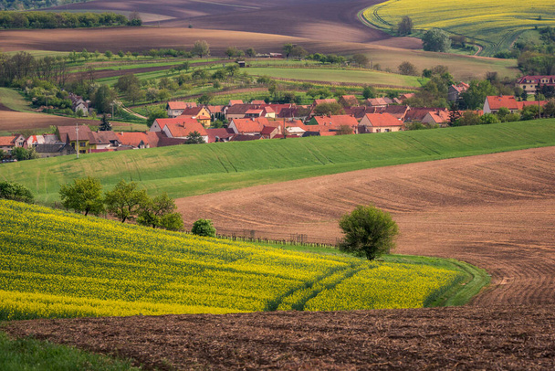チェコ共和国カルリン近郊の春のモラヴィア畑と牧草地 - 写真・画像