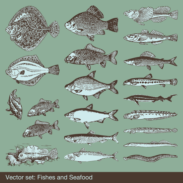 Fish vector set background - Vetor, Imagem