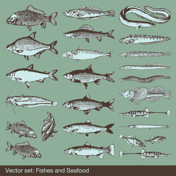 Fish vector set background - Vector, Imagen