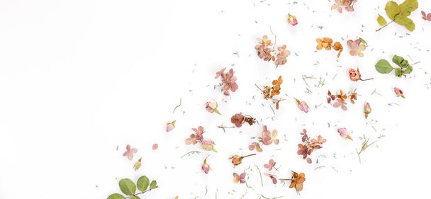 Runko vaaleanpunaisia kuivattuja kukkia ja lehtiä valkoisella pohjalla. Kukat koostumus. Top view, tasainen lay, kopioi tilaa
 - Valokuva, kuva