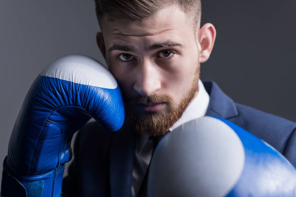 main plan, studio dramatic portrait of a handsome young bearded guy of twenty-five years old, a man in a business suit, looking at the camera, holding boxing gloves on his face. On a gray background. Business concept. Hold the punch. The guy looks li - 写真・画像