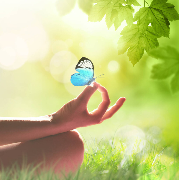ruka ženy meditující v józe póza na trávě a motýla - Fotografie, Obrázek