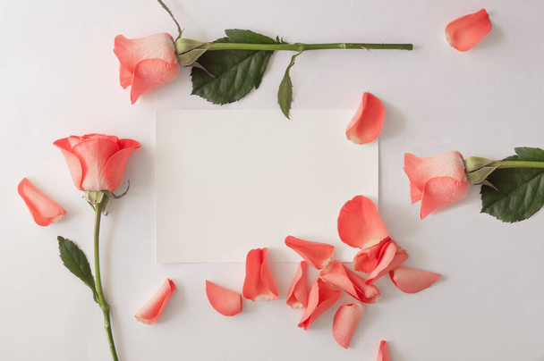 Blank paper greeting card, envelope with rose and petals on a white background. - Photo, Image