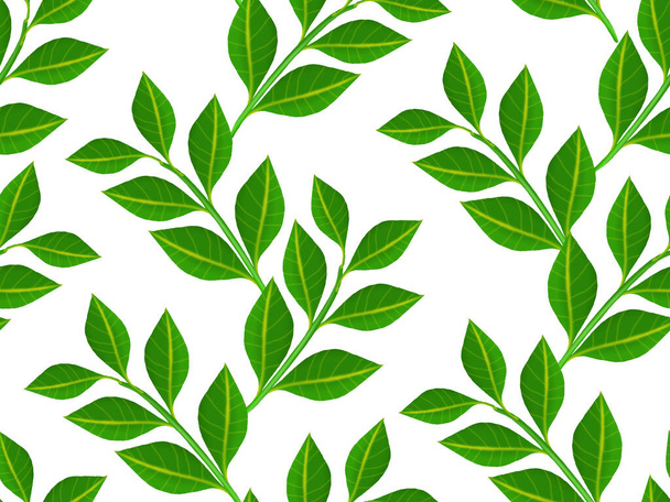 Seamless floral pattern with green leaves on a white background. - Zdjęcie, obraz