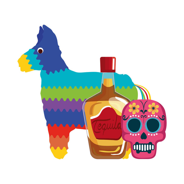 Ізольовані мексиканські пляшки текіли пінтата та череп Векторний дизайн
 - Вектор, зображення