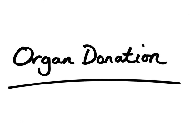 Organ Donation handwritten on a white background. - Фото, зображення