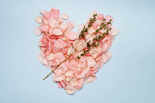Pink roses heart from petal on blue background  - Foto, imagen