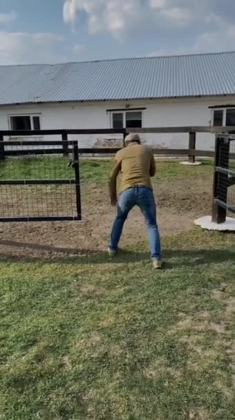 Der Typ boxt im Dorf, auf dem Bauernhof mit Schiebermütze, Jacke, Jeans - Filmmaterial, Video