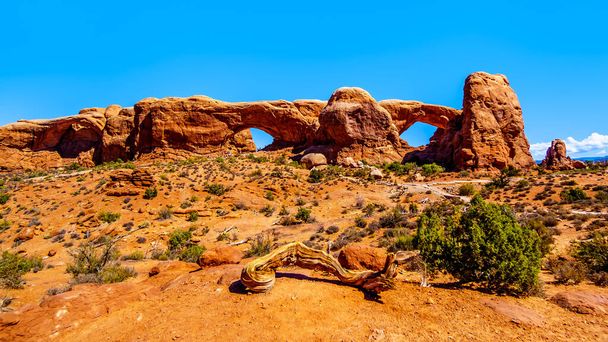 The South and North Window Arches in the Windows Section in the desert landscape of Arches National Park, Utah, Stany Zjednoczone Ameryki - Zdjęcie, obraz