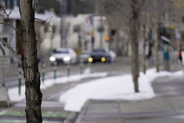 Drzewo na Downtown City Street w zimie - Zdjęcie, obraz