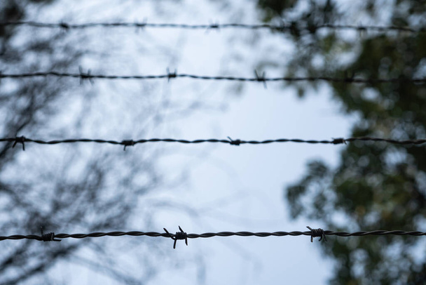Shallow Depth of field of barbed wire and blurred background. Concept for forbidden area and security. - Photo, Image