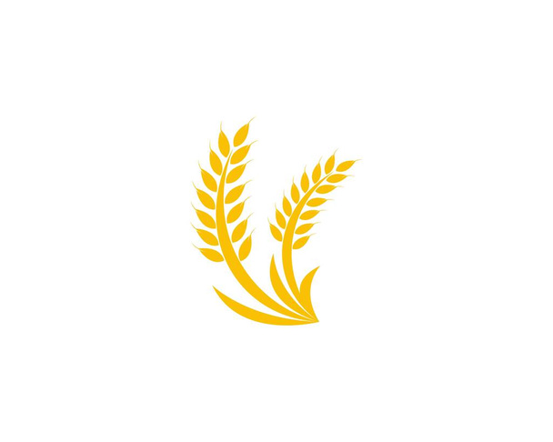 Plantilla de diseño de logotipo de arroz de trigo
 - Vector, Imagen