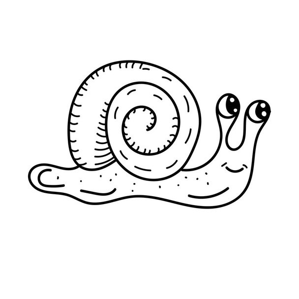 Vektor-Element, schwarz-weiße Zeichnung eines Meeresbewohners, Doodle-Färbung, niedliche Schnecke mit Gehäuse - Vektor, Bild