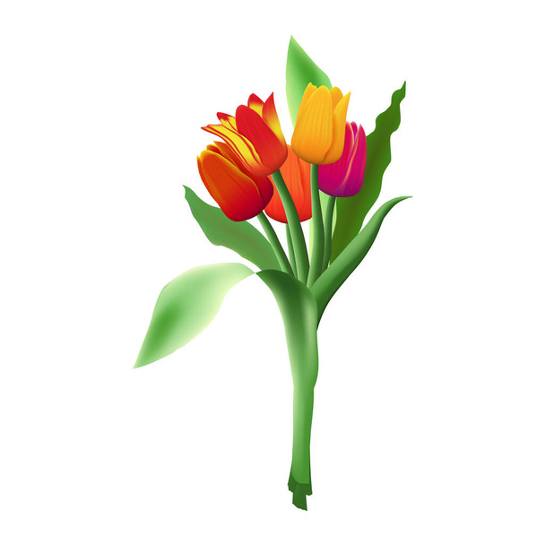 Ramillete de cinco tulipanes vectoriales realistas aislados sobre fondo blanco. Brotes de flores rojas, amarillas y púrpuras. Hojas largas verdes
. - Vector, Imagen