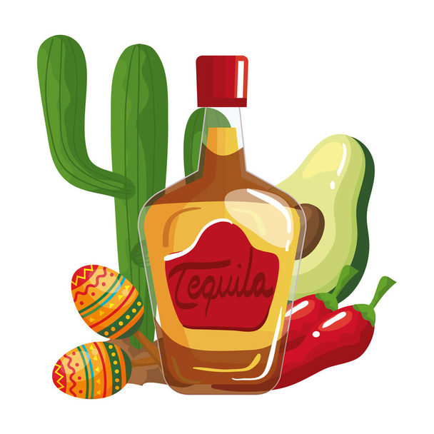 Мексиканська пляшкова чілліс авокадо маракас і кактус вектор - Вектор, зображення